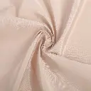 ice-2.webp